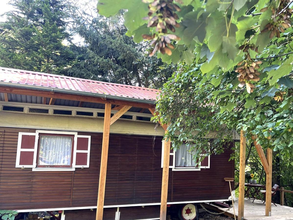 Historischer Zirkuswagen Mit Terrasse Und Blick Ins Gruene Witzenhausen Exterior photo